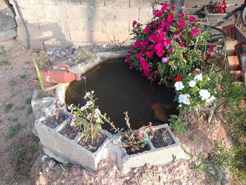Chacara Chiafarelli ξενώνας São Roque Εξωτερικό φωτογραφία